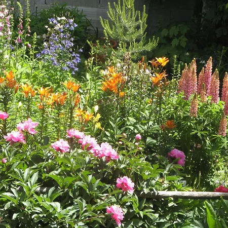 Bauernhof Wachter Fiss