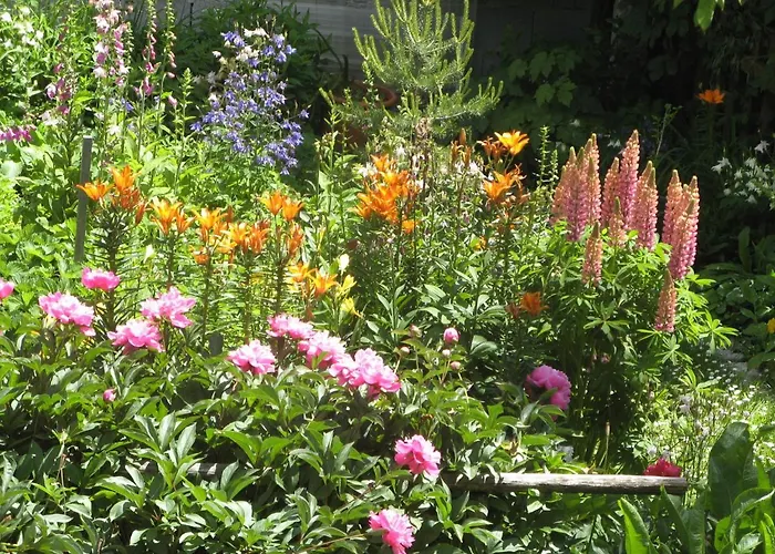 Bauernhof Wachter Fiss